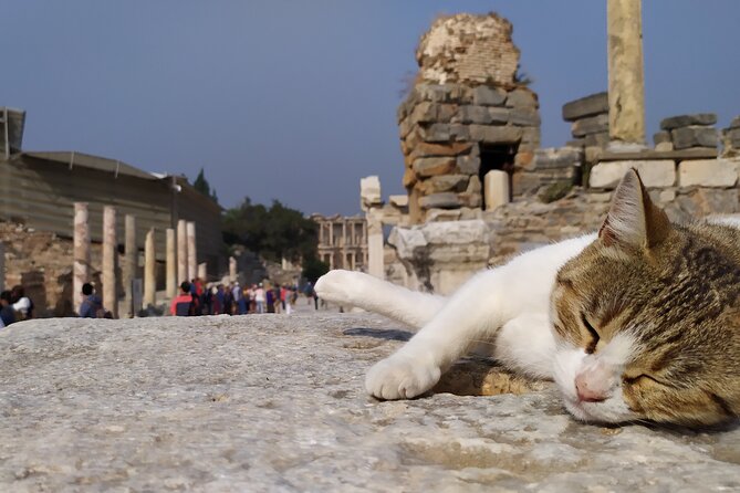 Best of Ephesus Tour From Kusadasi: Temple of Artemis, St John Basilica, Isa Bey Mosque - Plan the day around your pickup and your stamina