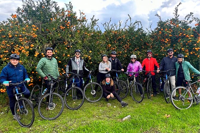 Cycling Through Vineyards & Farm Lunch & Ephesus visit - What Ephesus adds to a day in the countryside