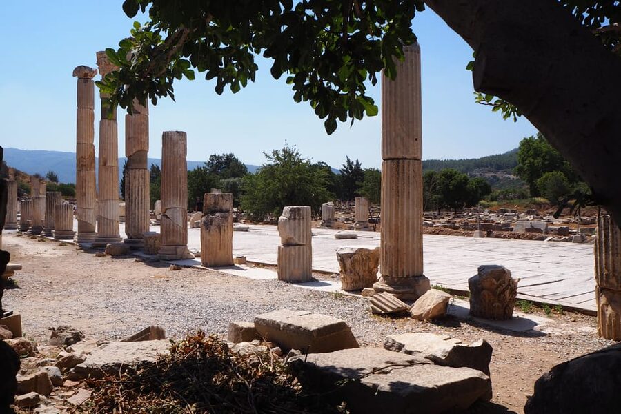 Ephesus: Half-Day Tour from Kusadasi - The Temple of Artemis and the limits of a short visit