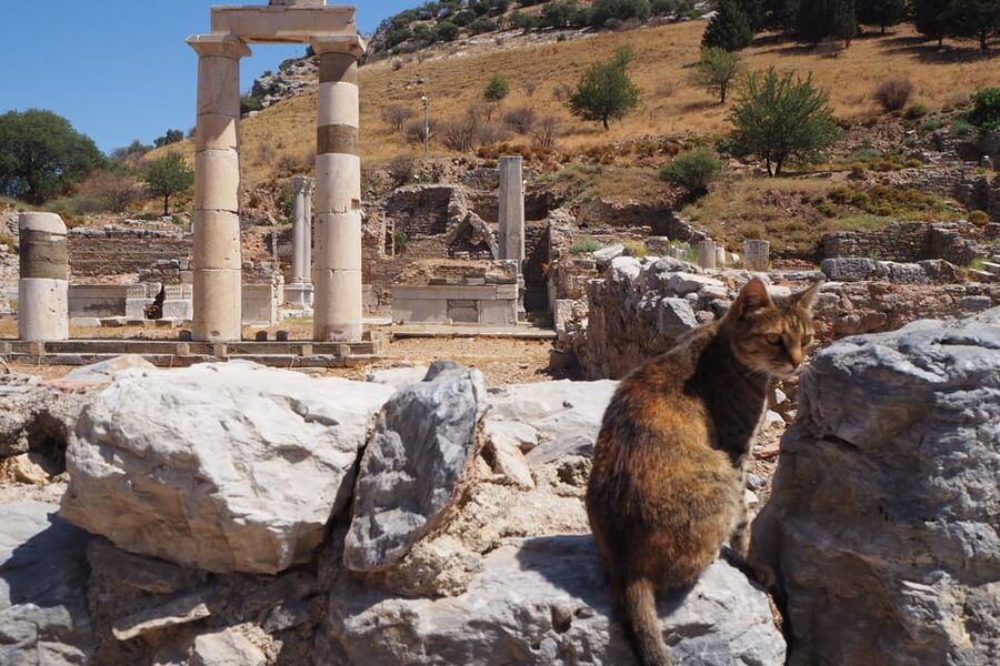 Ephesus: Half-Day Tour from Kusadasi - The shopping question: ask before you go