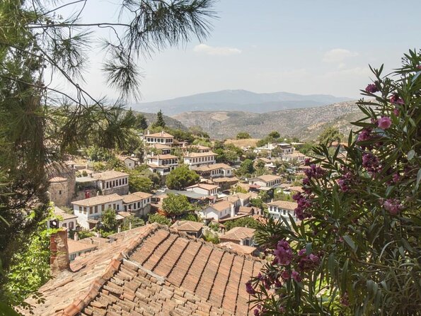 Ephesus Shore Excursion: Private Guide and Vehicle - Ask which Ephesus stops fit your day