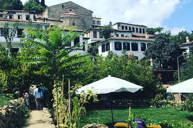 Ephesus Shore Excursion: Private Guide and Vehicle - What the price buys, and what it does not