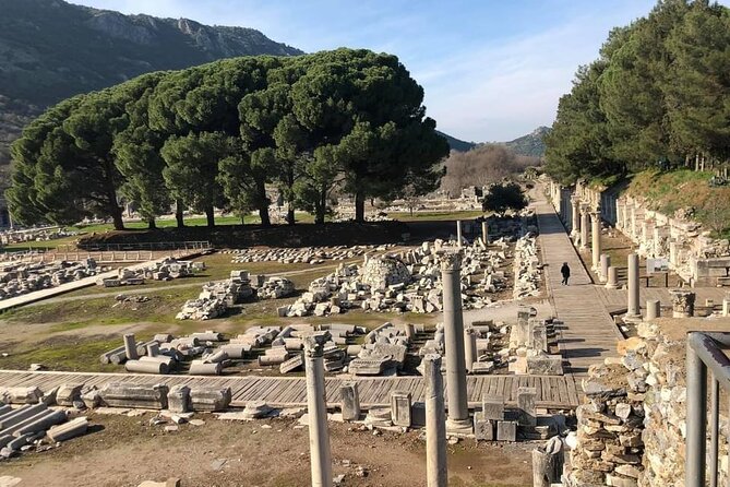 FOR CRUISERS: Private Ephesus Tour with GUARANTEED ON-TIME RETURN - Private transport helps make the day work