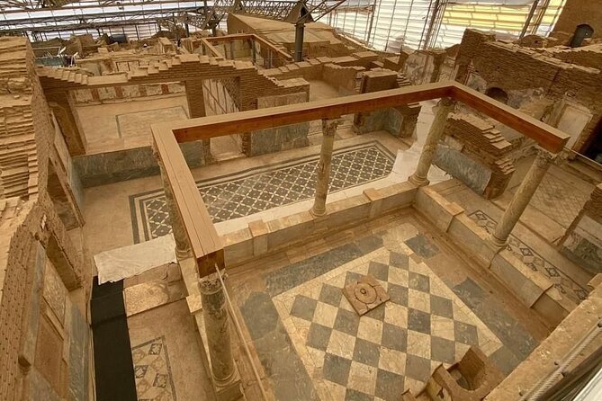 FOR CRUISERS: Private Ephesus Tour with GUARANTEED ON-TIME RETURN - Who should book this Kusadasi shore tour?