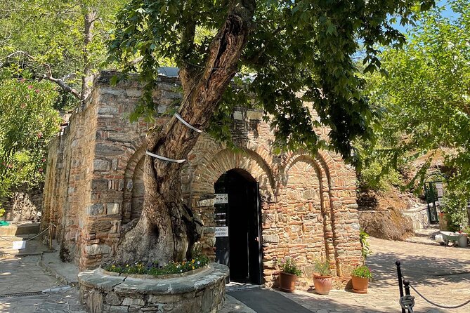 FROM IZMIR Cruise Port: Ephesus and Mary's House Private Tour - What $79 buys, and what to confirm