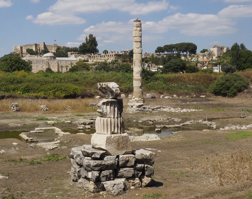 From Kusadasi or Selcuk: Full-Day Ephesus Tour with Lunch - Is $90 good value for this route?