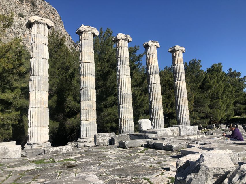 From Kusadasi: Priene, Miletos, and Didyma Private Day Trip - What the guide adds