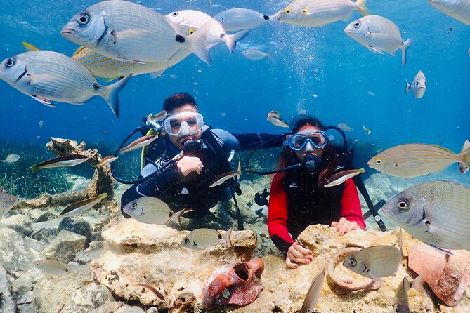 Guided Scuba Diving Experience in Kusadasi - At a glance