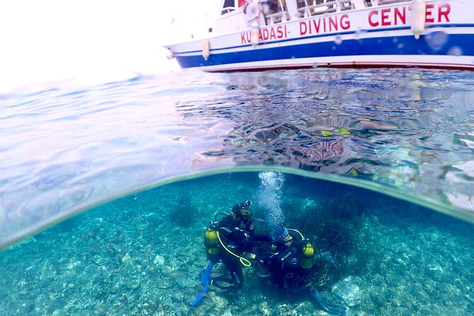 Guided Scuba Diving Experience in Kusadasi - What the 20 to 25 minutes underwater are like