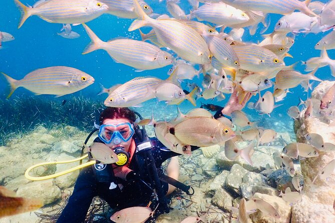 Guided Scuba Diving Experience in Kusadasi - Should you book it?