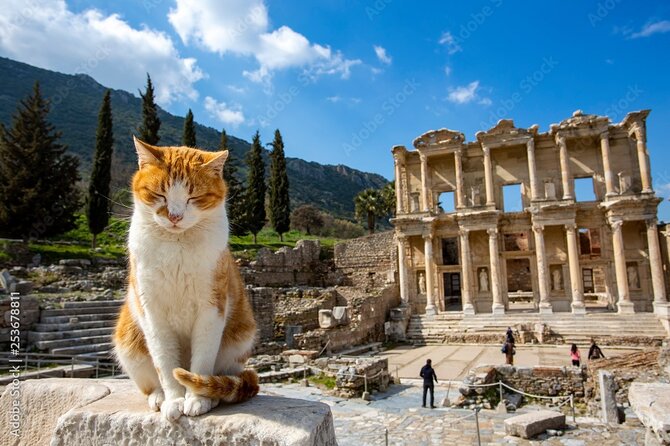 Journey to Ancient Wonders: Explore Ephesus with a Private Tour - The Temple of Artemis: famous, brief and largely gone