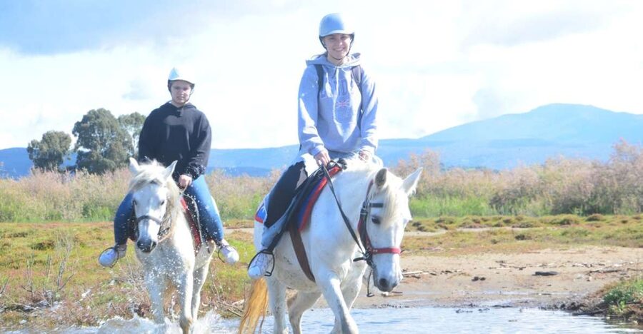 Kusadasi: Beach and Forest Horse Riding Tour - From Kusadasi to the horse park
