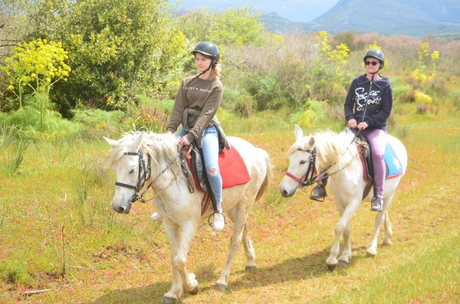 Kusadasi: Beach and Forest Horse Riding Tour - Getting comfortable before the ride