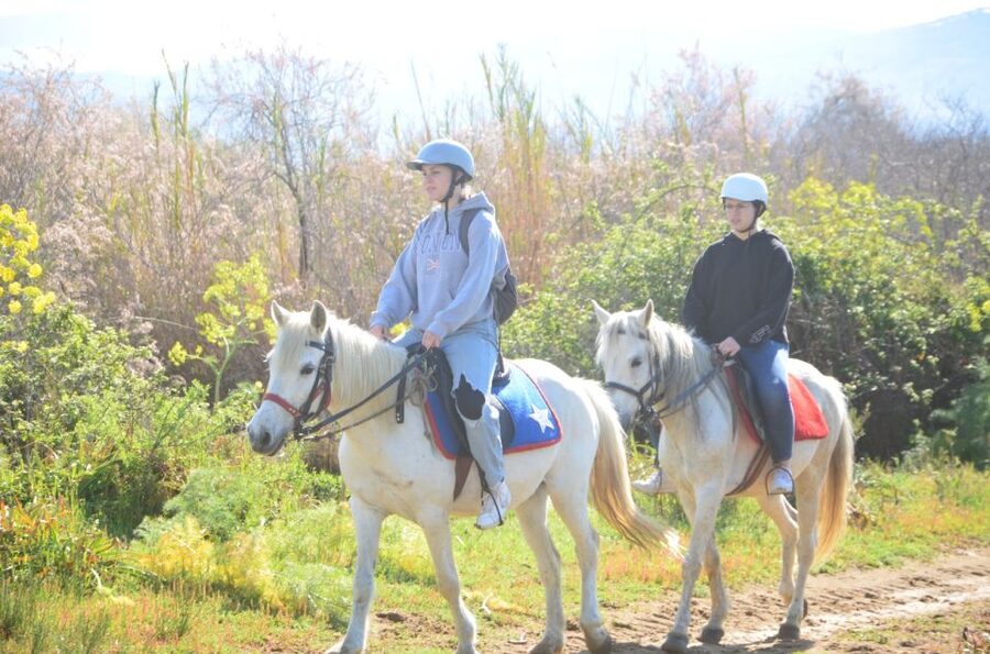 Kusadasi: Beach and Forest Horse Riding Tour - Reaching Pamucak Beach