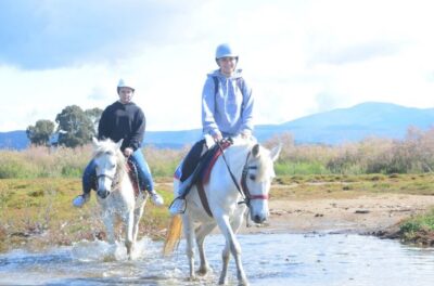Beach and Forest Horse Riding Tour