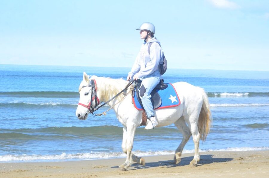 Kusadasi: Beach and Forest Horse Riding Tour - Returning to the park
