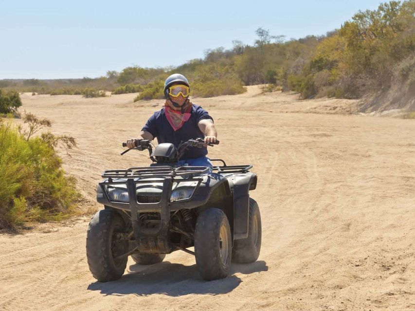 Kusadasi: Guided Quad Biking Tour - From Kusadasi hotel to the forest start