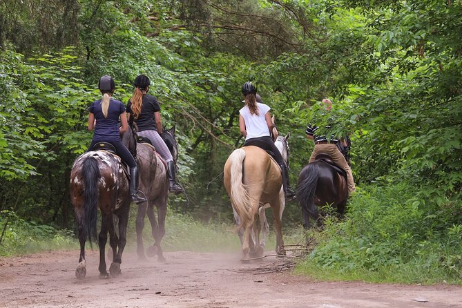 Kusadasi Horse Riding Beach and Forest options with Transfer - From Kusadasi hotel to pine-shaded ranch