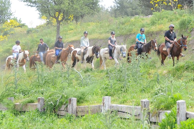 Kusadasi Horse Riding Beach and Forest options with Transfer - Meeting the horses and getting the basics