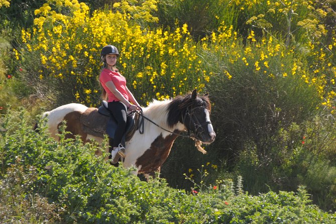 Kusadasi Horse Riding Beach and Forest options with Transfer - Photos, farm animals and small extras