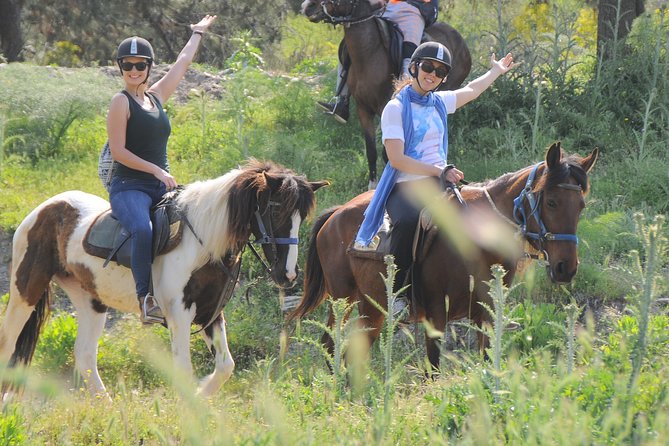 Kusadasi Horse Riding Beach and Forest options with Transfer - Should you book the Kusadasi horse ride?