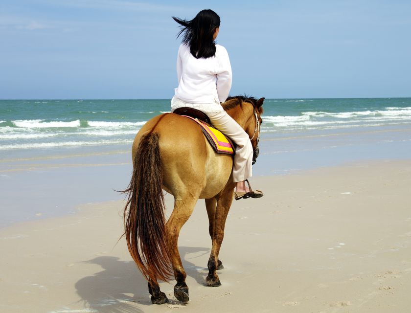 Kusadasi: Horse Riding Beach and Forest w/Transfer - From Kusadasi hotel to the ranch