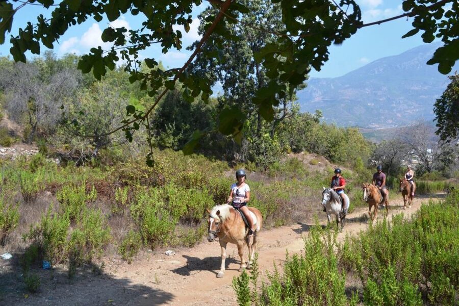 Kusadasi: Horse Riding Beach and Forest w/Transfer - What the timing really means