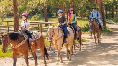 Horse Riding Beach and Forest w/Transfer