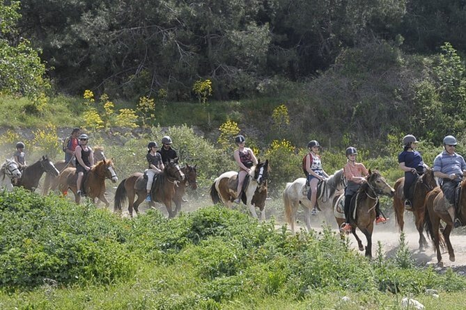 Kusadasi Horse Riding On Beach And Through The River - Sandy trails, riverbed and Pamucak Beach