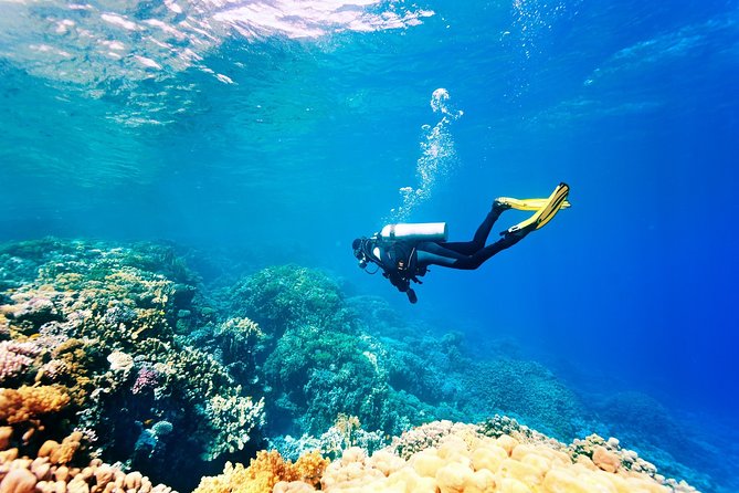 Kusadasi Scuba Diving Experience w/Instructor incl. Transfer - A gentle introduction to the Aegean