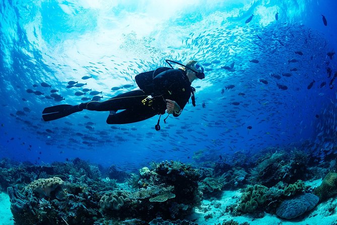 Kusadasi Scuba Diving Experience w/Instructor incl. Transfer - Lunch, staff, and the overall pace
