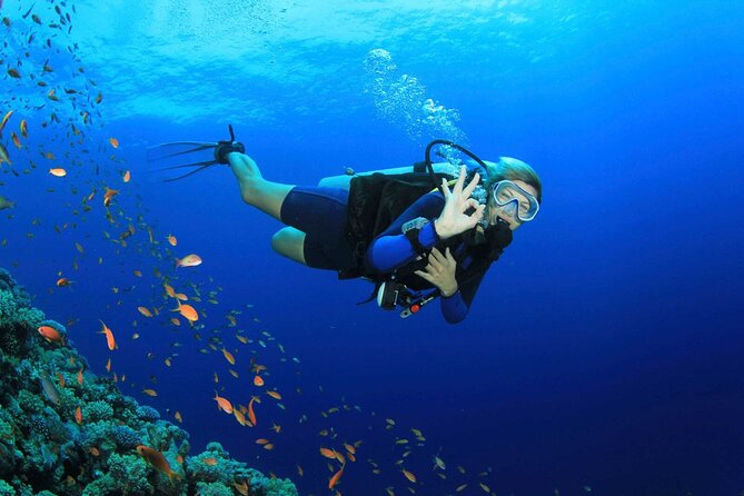Kusadasi Scuba Diving Tour By Local Experts - What to know before you book