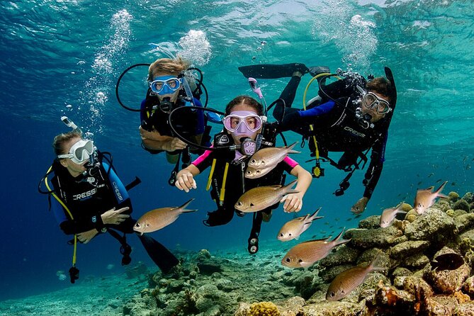 Kusadasi Scuba Diving Tour By Local Experts - Lunch, downtime, and a place for companions