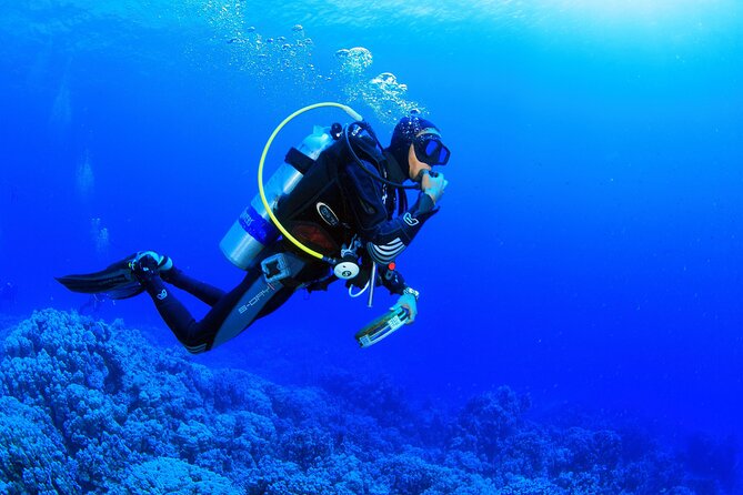Kusadasi Scuba Diving Tour By Local Experts - Weather, fitness, and booking details