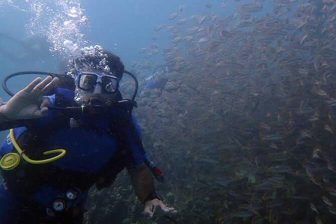 Kusadasi Scuba Diving Tour By Local Experts - From Kusadasi pickup to the boat