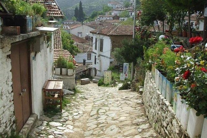 Kusadasi Shore Excursion: Private Full-Day Tour to Ephesus, Didyma and Miletus - Timing, port return and practical details