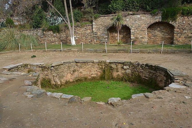 Kusadasi Shore Excursion: Private Tour to Ephesus including House of Virgin Mary and Temple of Artemis - Four hours means keeping an eye on the clock