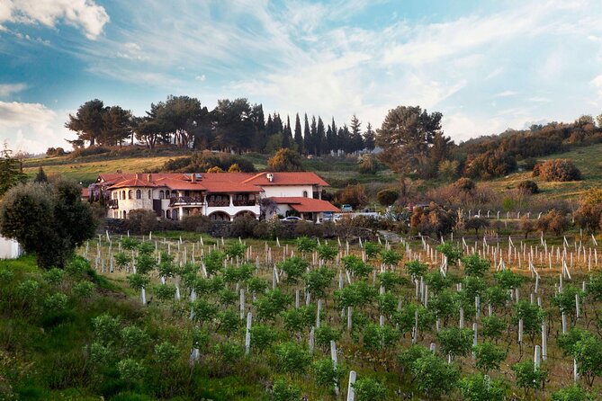 Kusadasi Shore Excursions Ephesus and Wine Tasting Tours - Guides, timing and port return