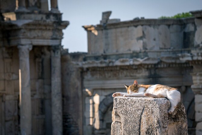 NEW: Private The Most Detailed Ephesus Shore Excursion / with Lunch - Ephesus, from the State Agora to the Great Theatre