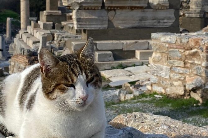 NO HIDDEN FEES : Ephesus, Virgin Mary's House, St. John Basilica - FAQ