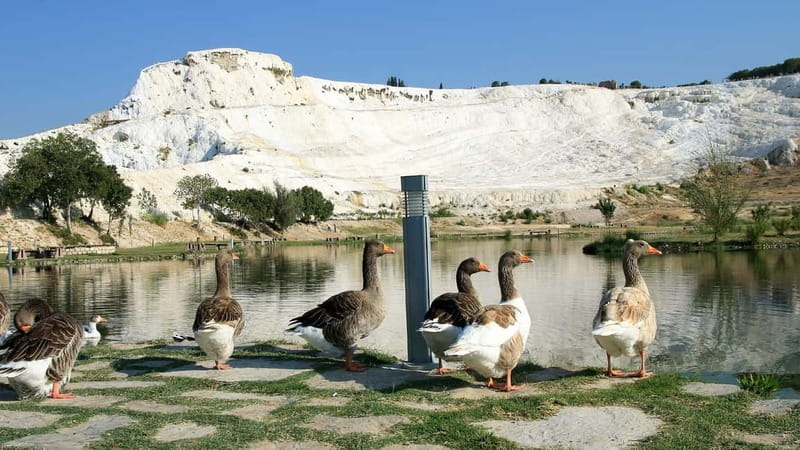 Pamukkale and Hierapolis: Full-Day Private or Group Tour - Lunch and the real cost of the day