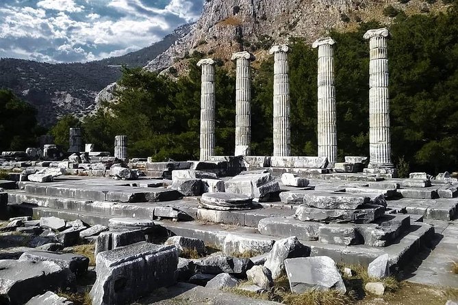 Priene Miletos Didyma Tour From Kusadasi / Selcuk Hotels - Who should book this day trip?