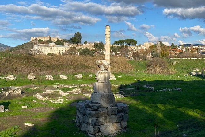 Private Ephesus and Artemis Temple Half Day Tour / On Time Return - Meeting your guide at port or hotel