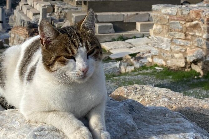 Private Ephesus and Artemis Temple Half Day Tour / On Time Return - What the $129 price covers