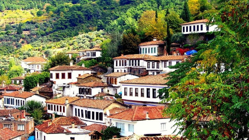 Private Ephesus and Sirince Village Tour Cruiser Only - Meeting your guide at Kuşadası port
