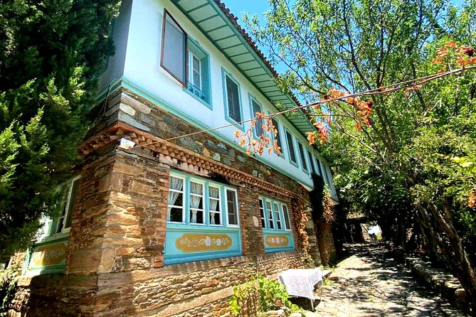 Private Ephesus Tour & Cooking Class in Village - What the $189 price covers