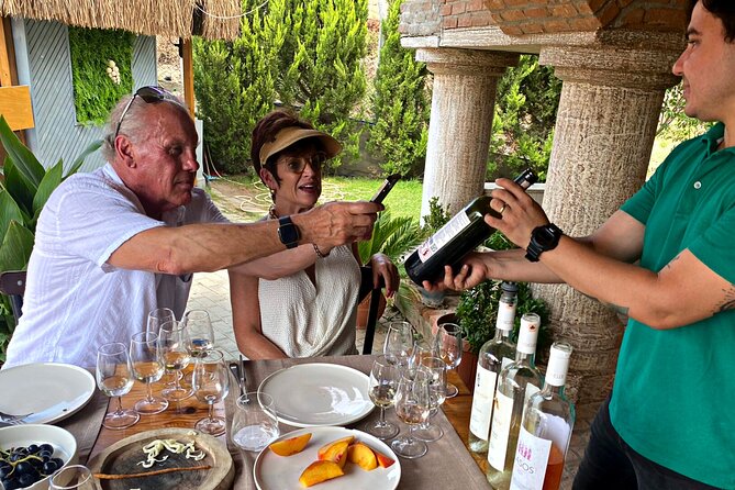 Private Ephesus Tour & Wine Tasting & Mediterrranean Lunch - Should you book this Ephesus and wine day?