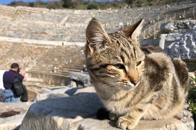 Private Tour : Biblical Ephesus Tour for Cruisers from Kusadasi ( Ephesus ) Port - FAQ